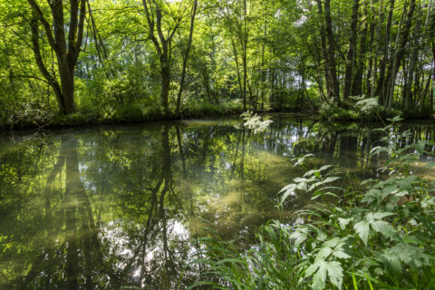 Natur pur in Piusheim