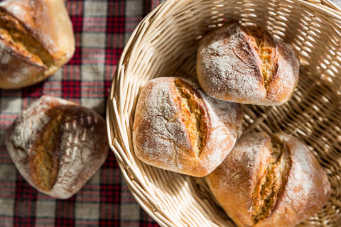 Bio Betriebe Piusheim