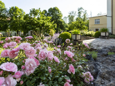 Besser leben Piusheim