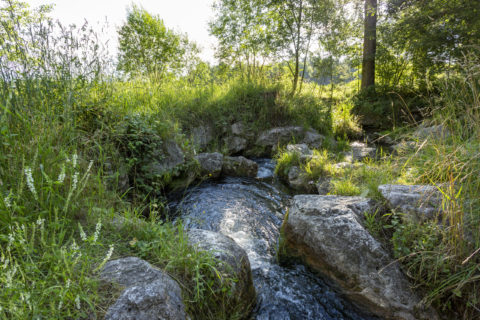 Fischtreppe Piusheim früher